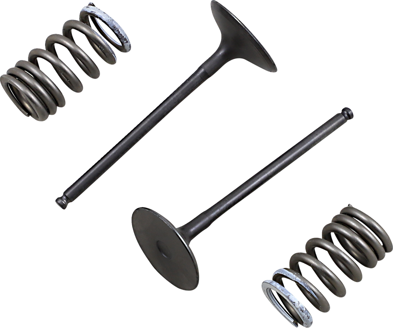 PROX Valve and Spring Kit