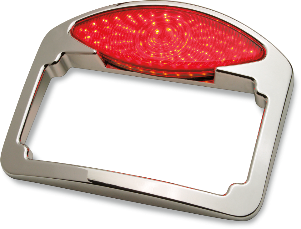 RWD V-TWIN LED Taillight/Turn Signal/License Plate Kit