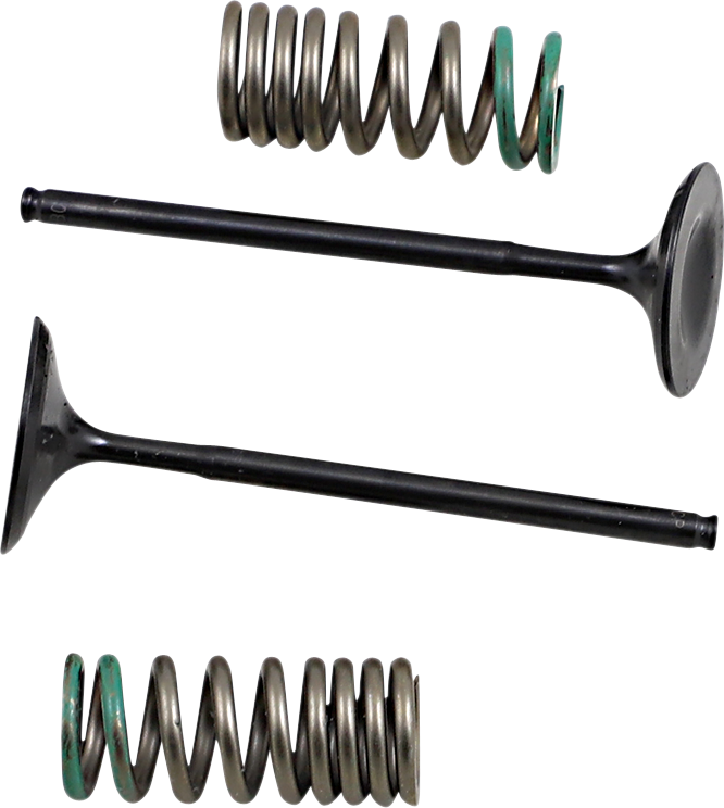 PROX Valve and Spring Kit