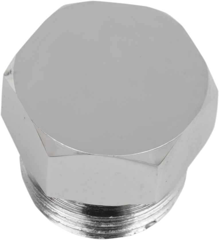 COLONY Timing Plug - Crankcase/Oil Tank / Hex / 11/16"-16 DS-189853