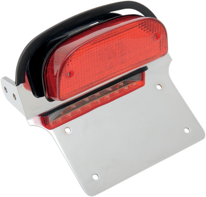 RICK DOSS Taillight and License Plate Mount Assembly - Taillight/License Plate Assembly / Harley Davidson 2010-0730