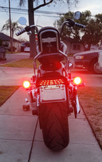 Eagle Lights 2" Rear LED Turn Signals for Harley-Davidson Motorcycles- Generation I / 1156 Base / Red