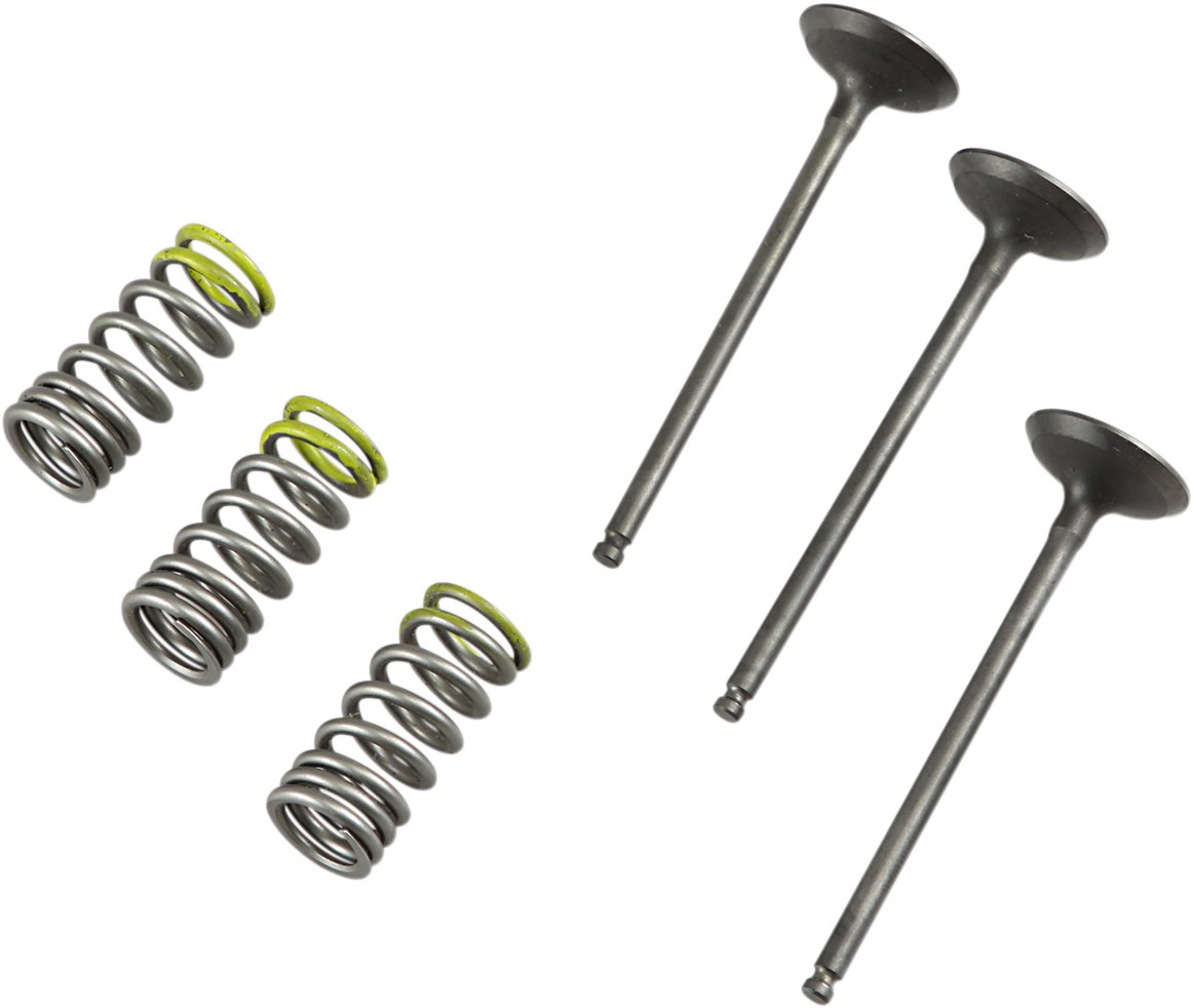 PROX Valve and Spring Kit