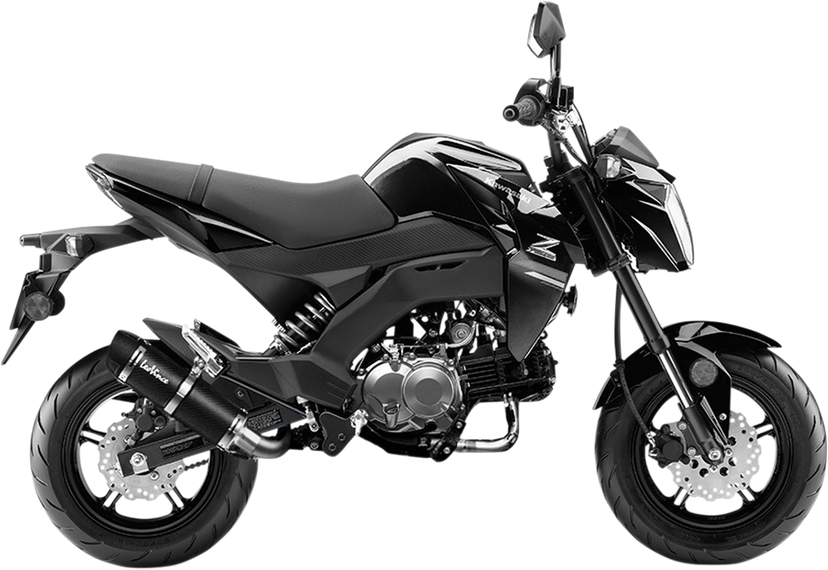 LEOVINCE GP Corsa Evo Exhaust System