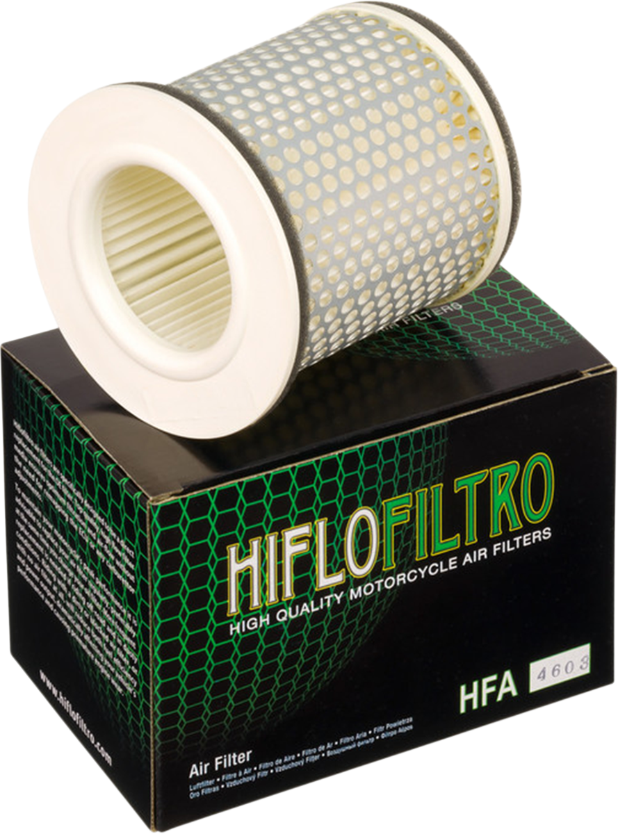 HIFLOFILTRO Replacement OE Air Filter