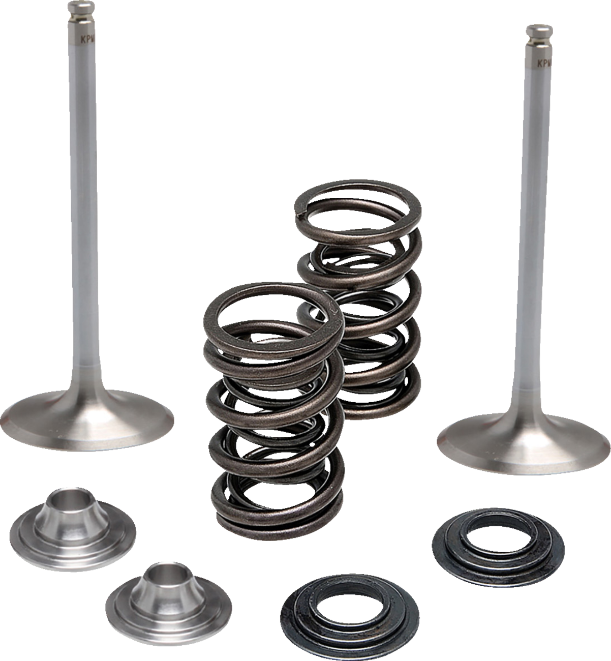 MOOSE OFFROAD Valve and Spring Kit