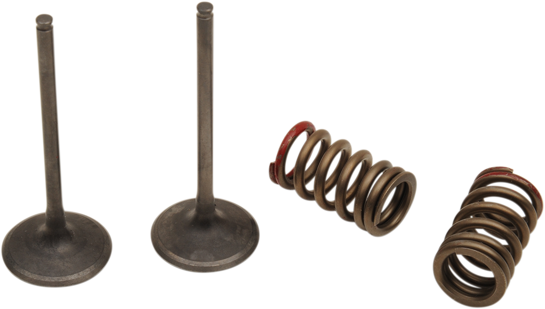 PROX Valve and Spring Kit
