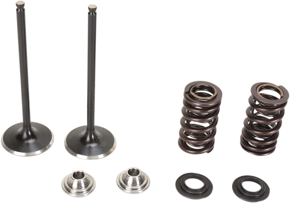KIBBLEWHITE Intake Stainless Conversion Valve and Spring Kit