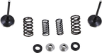 MOOSE OFFROAD Intake Valve and Spring Kit - Valve and Spring Kit / Honda CRF250L 0926-3303