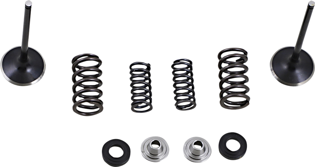 MOOSE OFFROAD Intake Valve and Spring Kit - Valve and Spring Kit / Honda CRF250L 0926-3303