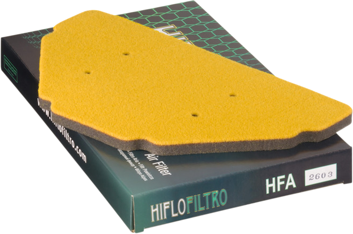 HIFLOFILTRO Replacement OE Air Filter