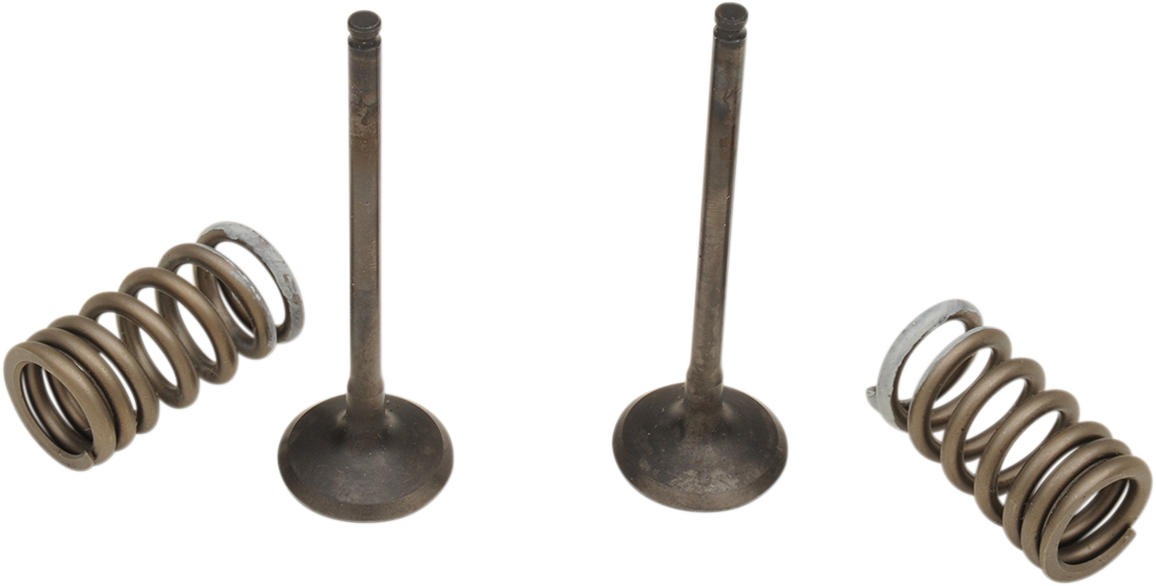 PROX Valve and Spring Kit