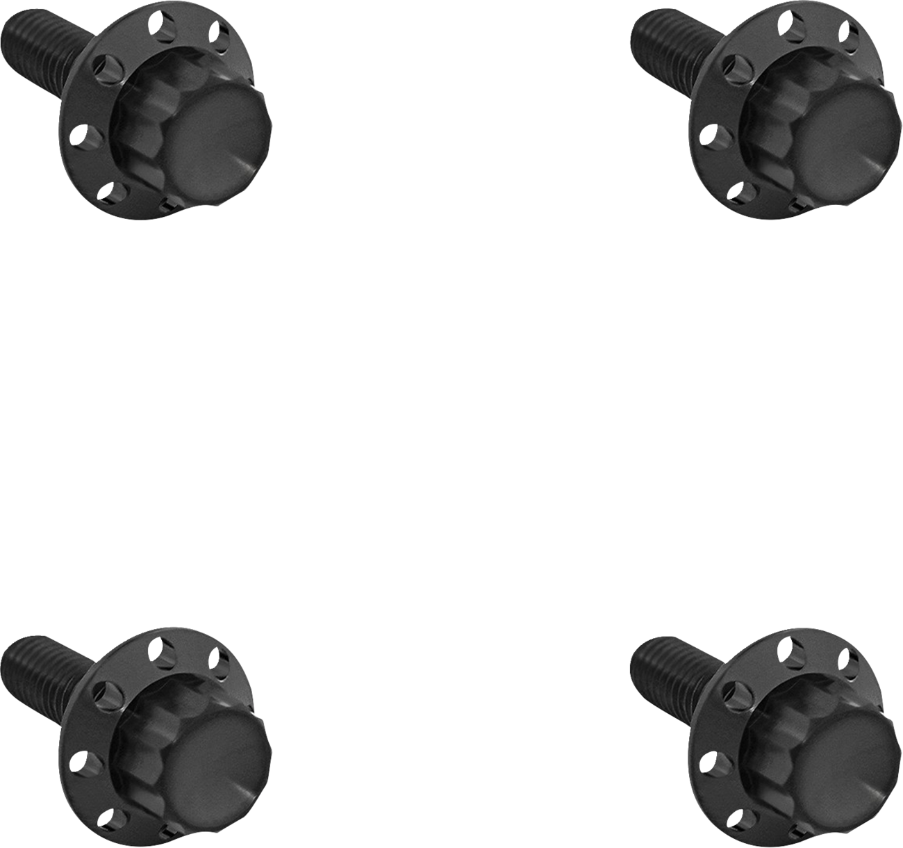 ARLEN NESS Bolt Kit - Windshield / Titanium / 12-Point / Black 2401-1788