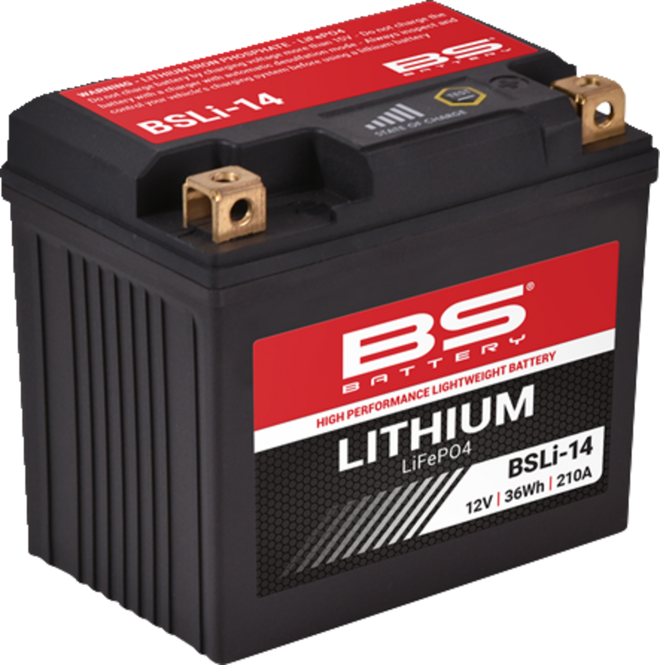 BS BATTERY Lithium LiFePO4 Battery