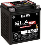 BS BATTERY SLA MAX Factory- Activated AGM Maintenance-Free Battery