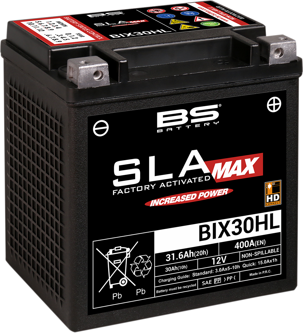 BS BATTERY SLA MAX Factory- Activated AGM Maintenance-Free Battery