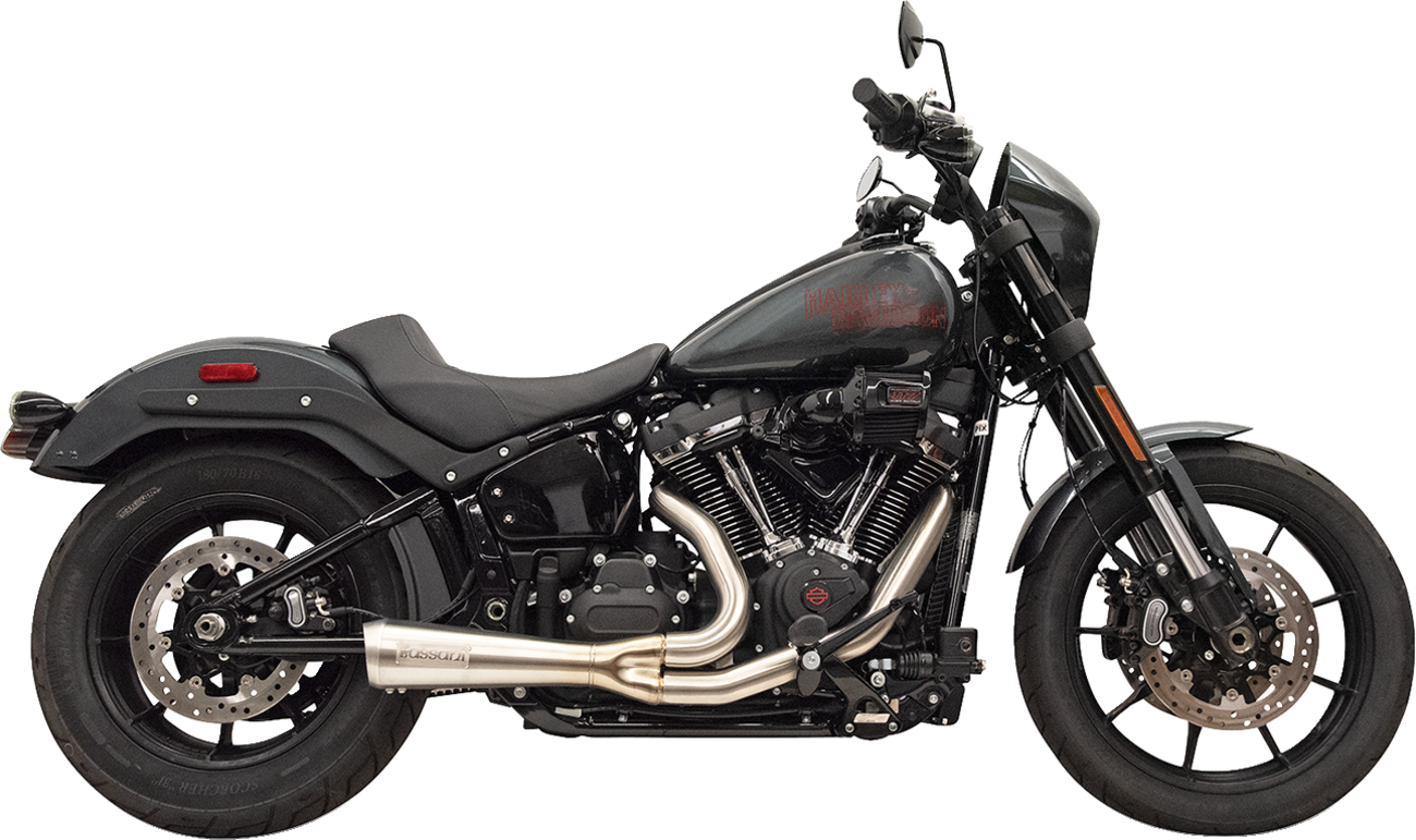 2-into-1 Ripper Exhaust System with Megaphone Muffler - Short - Stainless - 49-State - M8 Softail