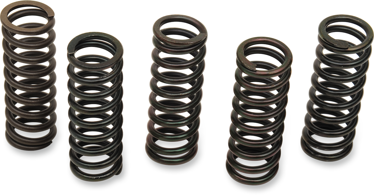 BARNETT Clutch Spring Set - Honda/Triumph MT-79-5