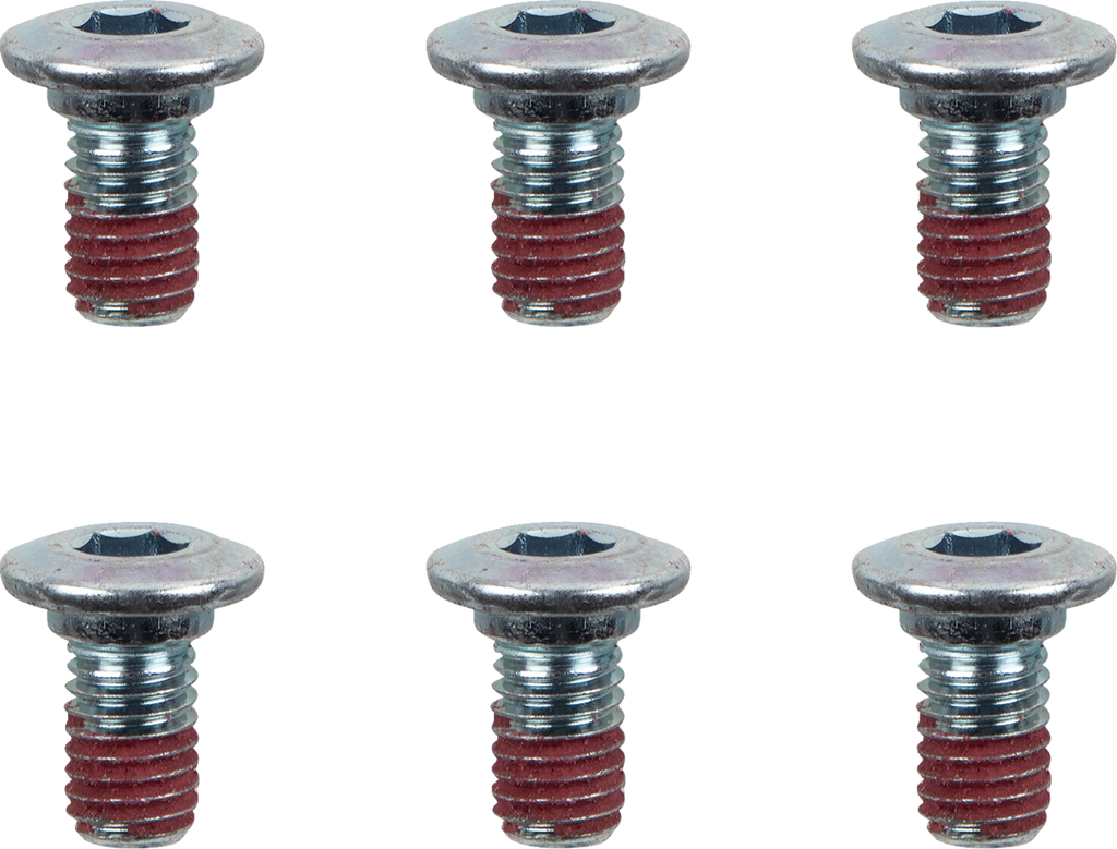 MOTO-MASTER Brake Rotor Bolts - Bolts / Brake Rotor / Hex / M8 x 15 / 6-Pack 2401-1610