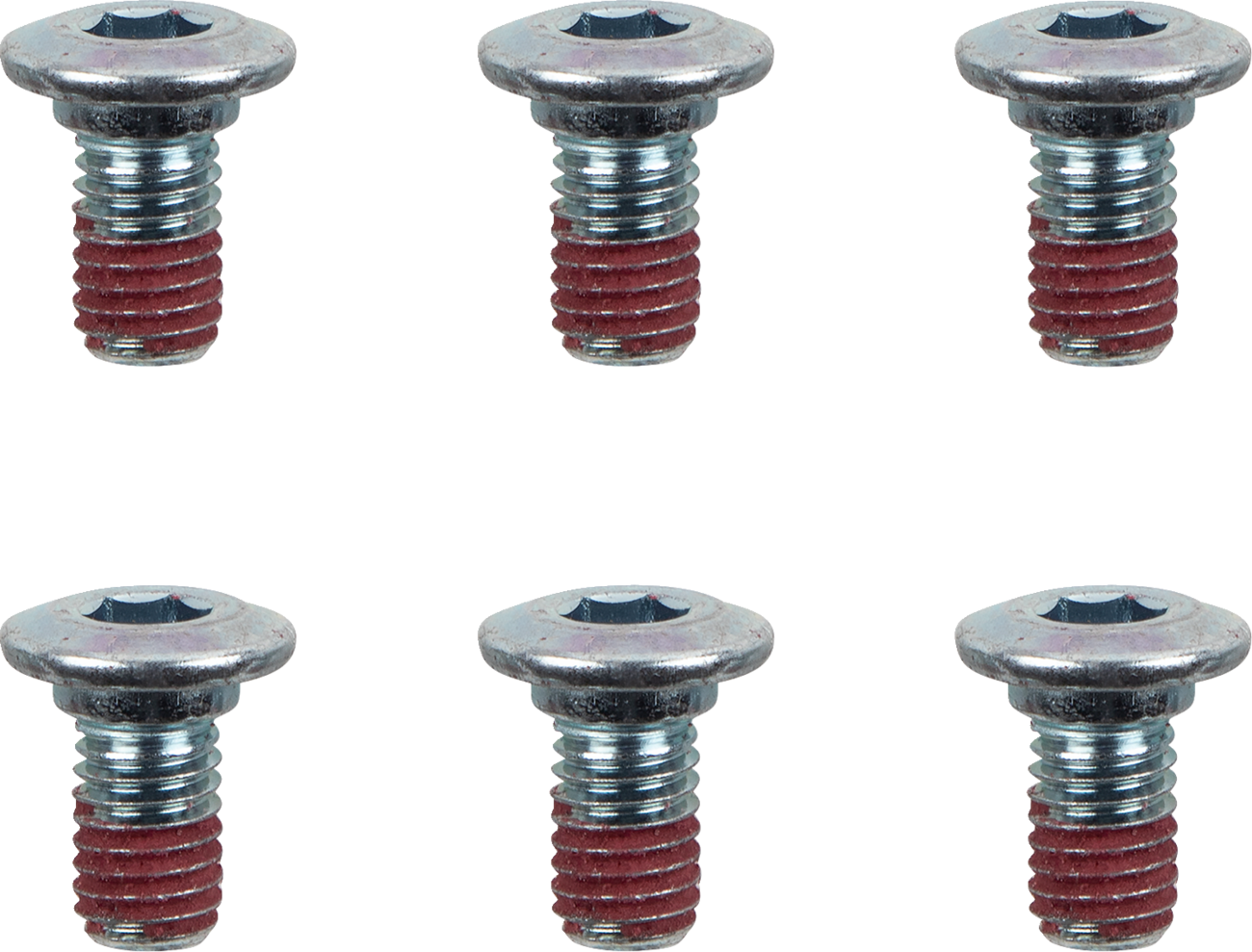 MOTO-MASTER Brake Rotor Bolts - Bolts / Brake Rotor / Hex / M8 x 15 / 6-Pack 2401-1610