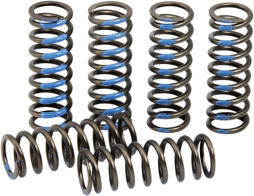 PRO CIRCUIT Clutch Spring Set