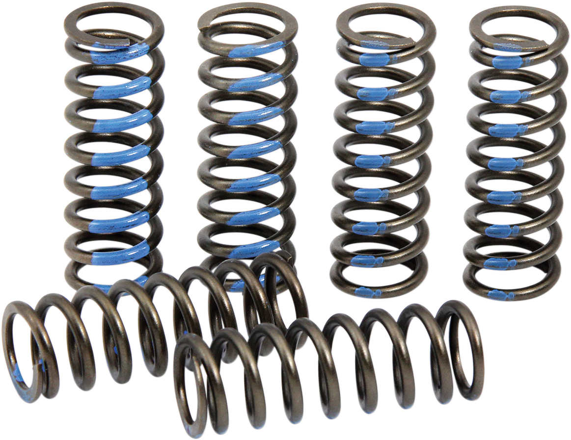 PRO CIRCUIT Clutch Spring Set