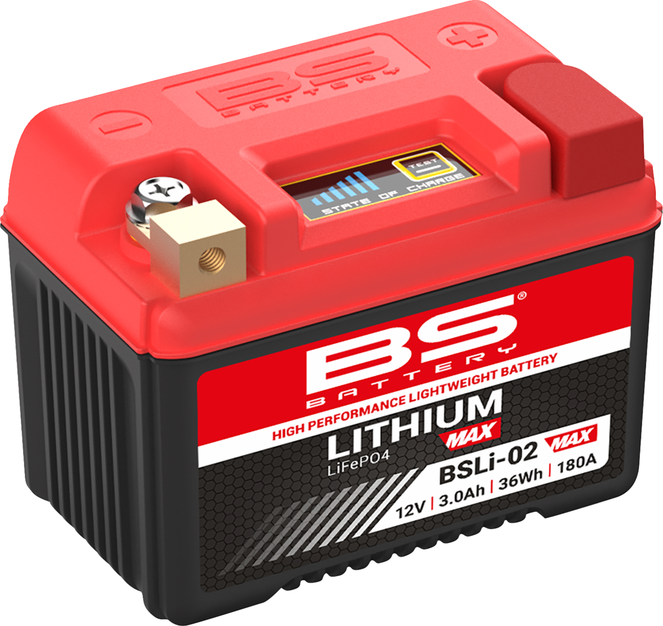 BS BATTERY Lithium Max LiFePO4 Battery