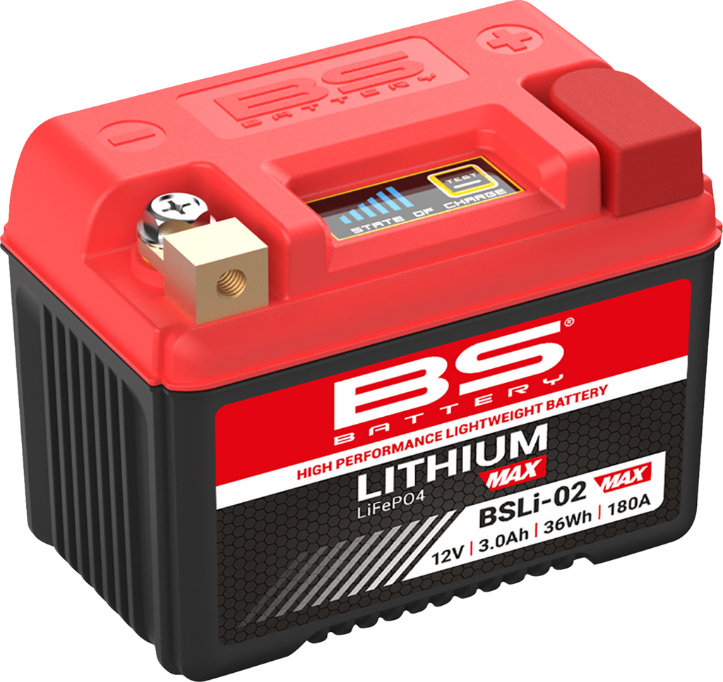 BS BATTERY Lithium Max LiFePO4 Battery