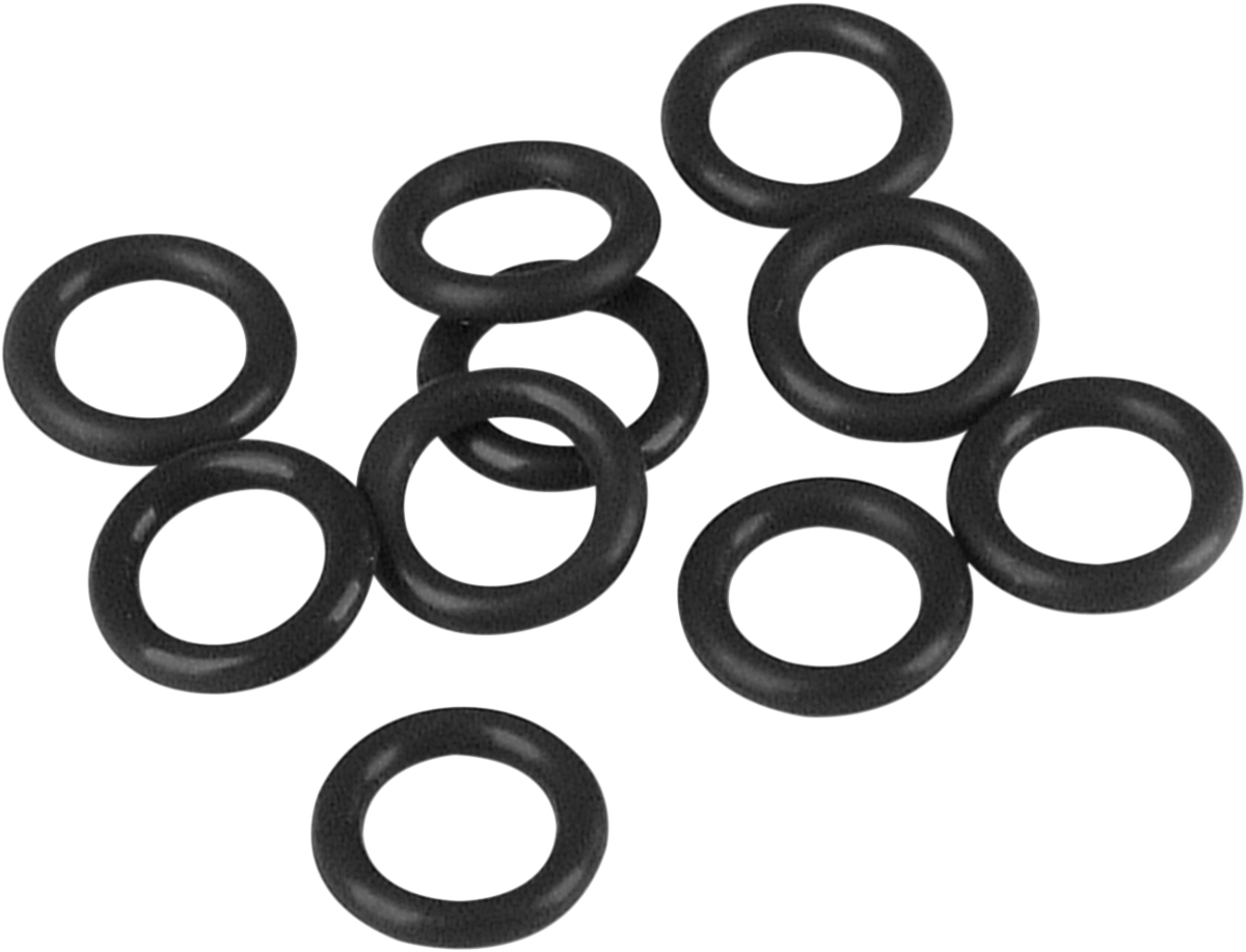 JAMES GASKET Cam Support Plate Plug O-Ring - Cam Support O-Ring / Twin Cam DS-173212
