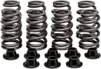 KIBBLEWHITE Beehive Spring Kit - Valve Spring Kit / 0.435" Lift / Beehive Racing / Husqvarna | KTM 0926-3042