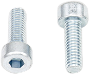 BOLT Allen Bolts - Socket-Head / M4 x 12 / 10-Pack 2404-0392