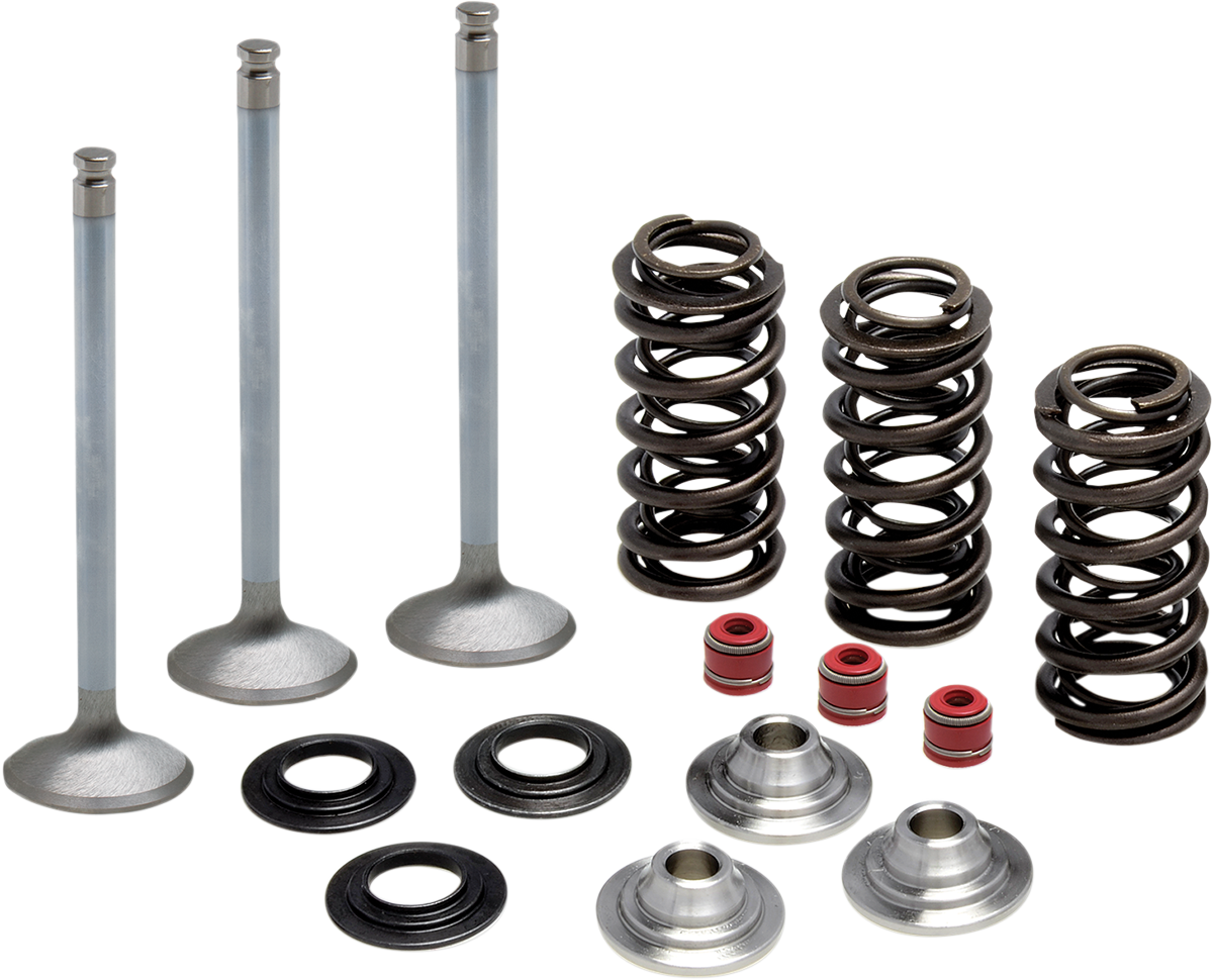 KIBBLEWHITE Intake Stainless Conversion Valve and Spring Kit