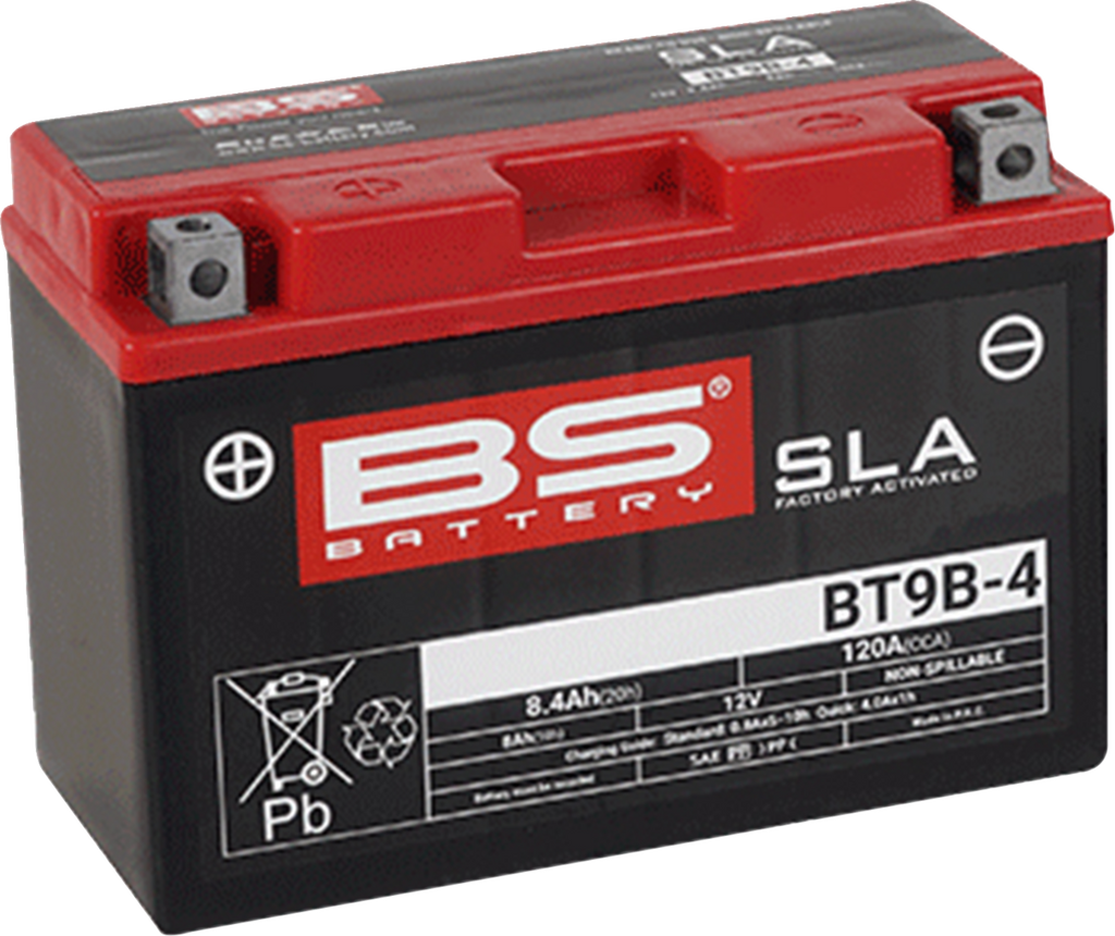 BS BATTERY SLA Factory- Activated AGM Maintenance-Free Battery