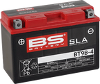 BS BATTERY SLA Factory- Activated AGM Maintenance-Free Battery