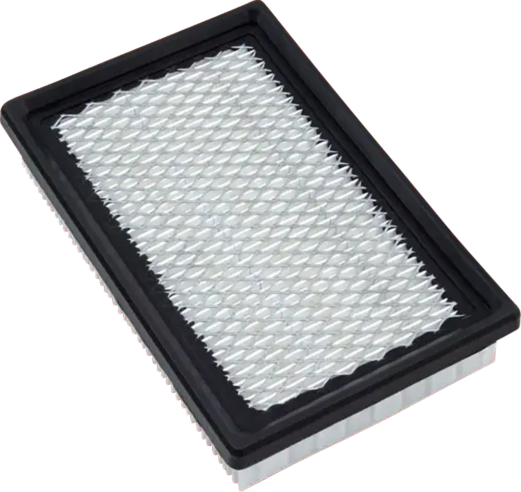 SHOW CHROME Replacement Air Filter