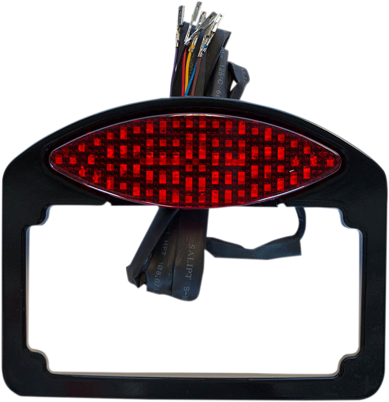 RWD V-TWIN LED Taillight/Turn Signal/License Plate Kit