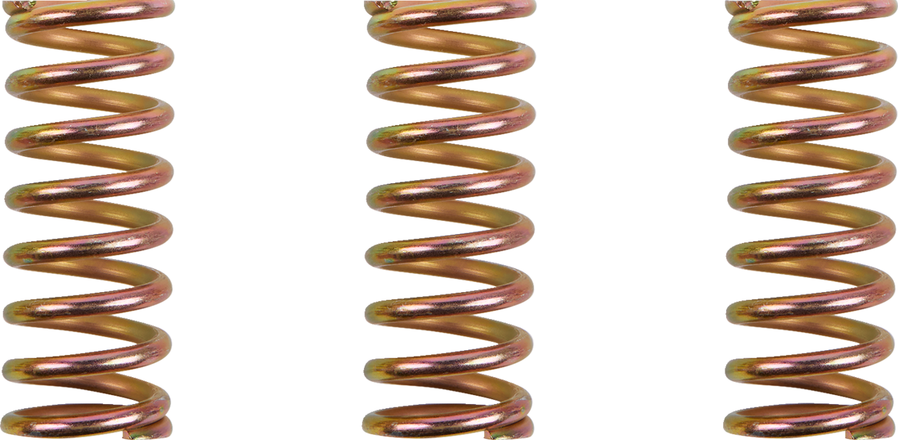 BARNETT Clutch Spring Kit - Ducati/Triumph 1131-2300