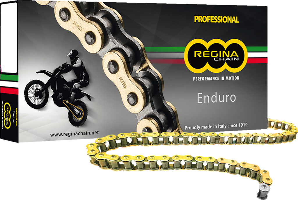 REGINA 520 ZSE Drive Chain