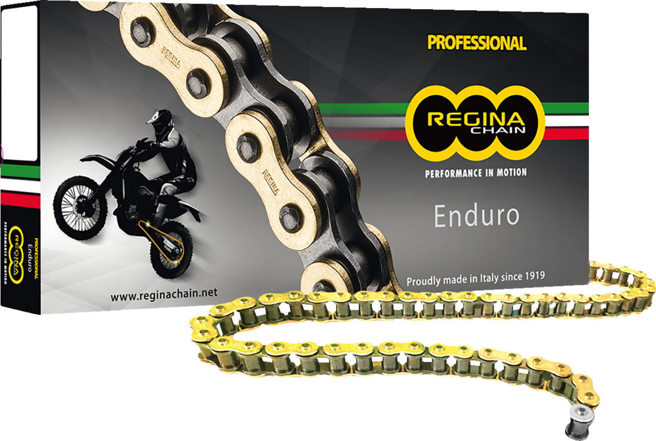 REGINA 520 ZSE Drive Chain