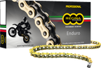 REGINA 520 ZSE Drive Chain