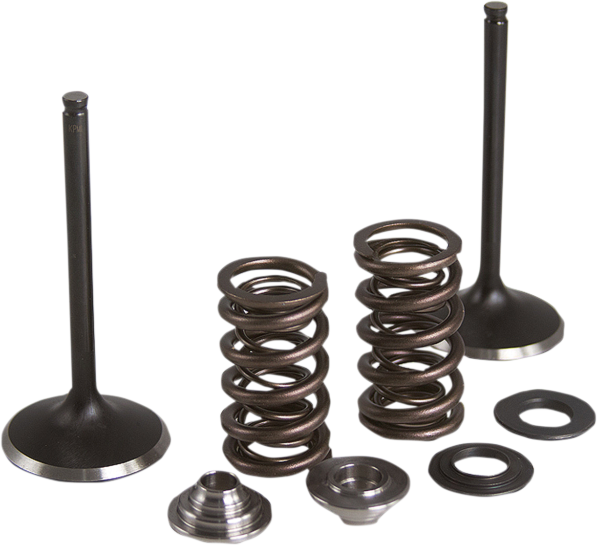 KIBBLEWHITE Intake Stainless Conversion Valve and Spring Kit