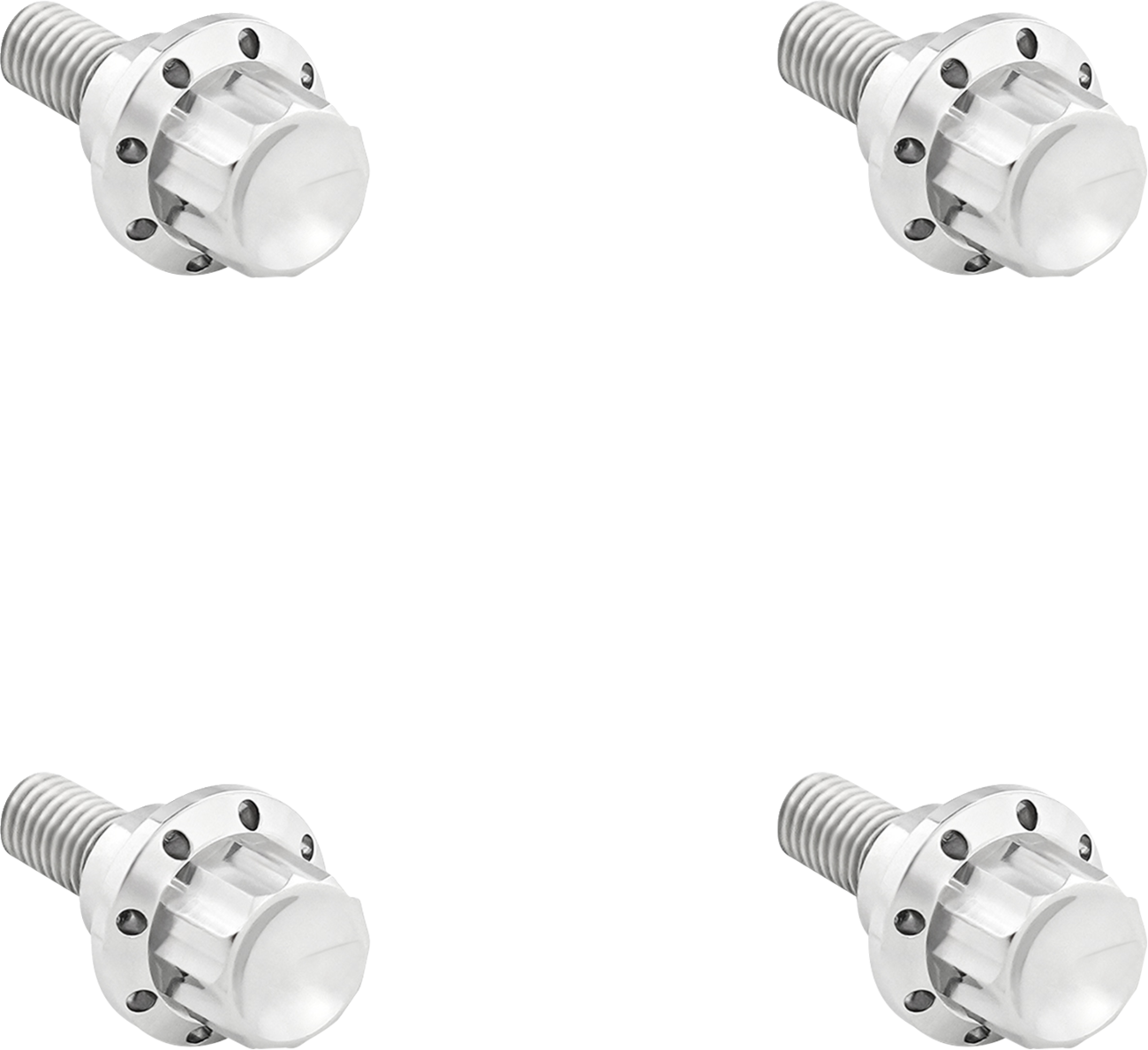 ARLEN NESS Bolt Kit - Windshield / 12-Point / Titanium / Silver 2401-1781