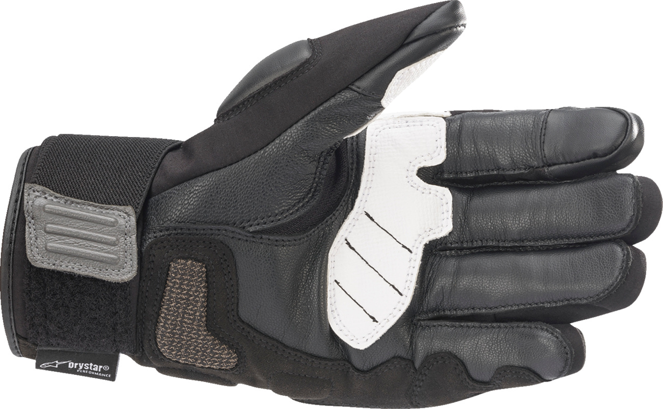 ALPINESTARS Gloves Corozal V2 Drystar®