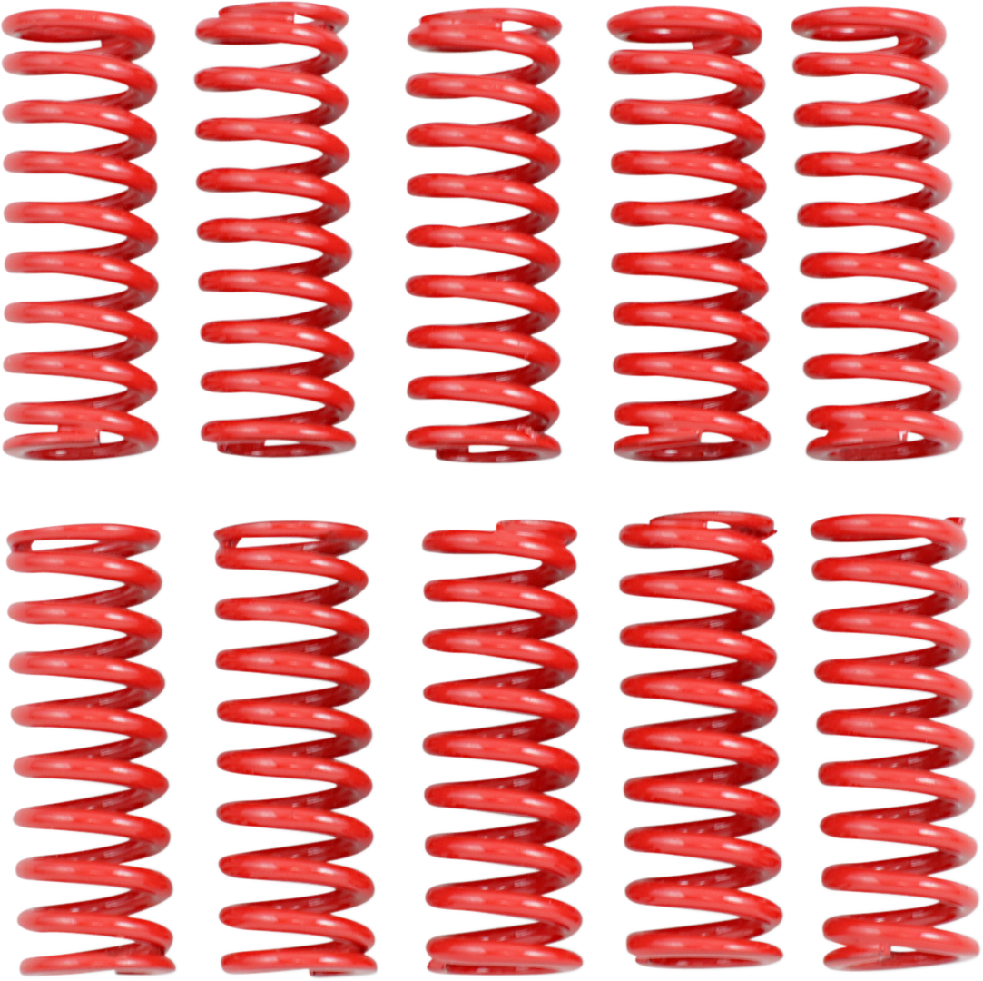KIBBLEWHITE Heavy-Duty Clutch Spring Set - Heavy Duty Clutch Springs DS-199209