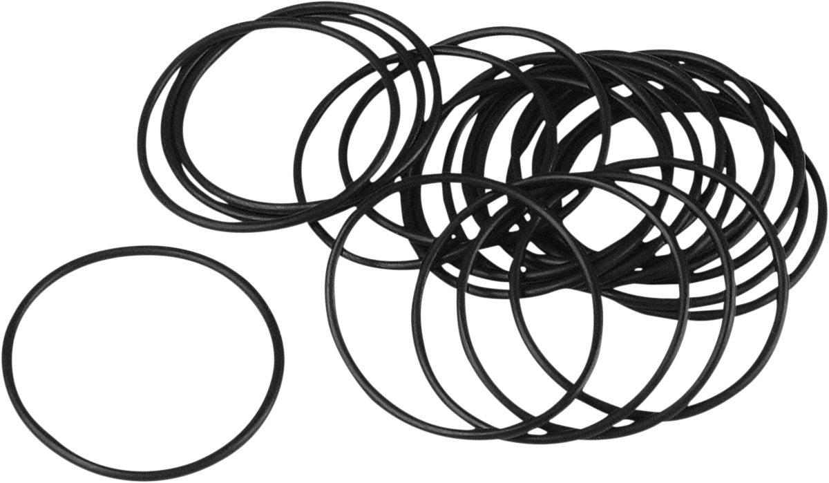 JAMES GASKET Clutch Inspection Cover O-Ring - XL DS-174286