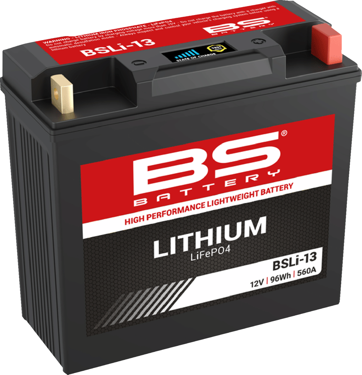 BS BATTERY Lithium LiFePO4 Battery