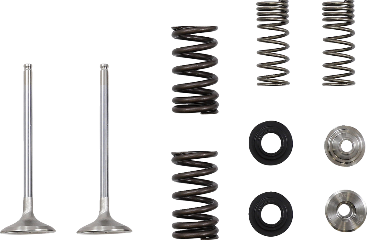 Moose Offroad Exhaust Valve and Spring Kit