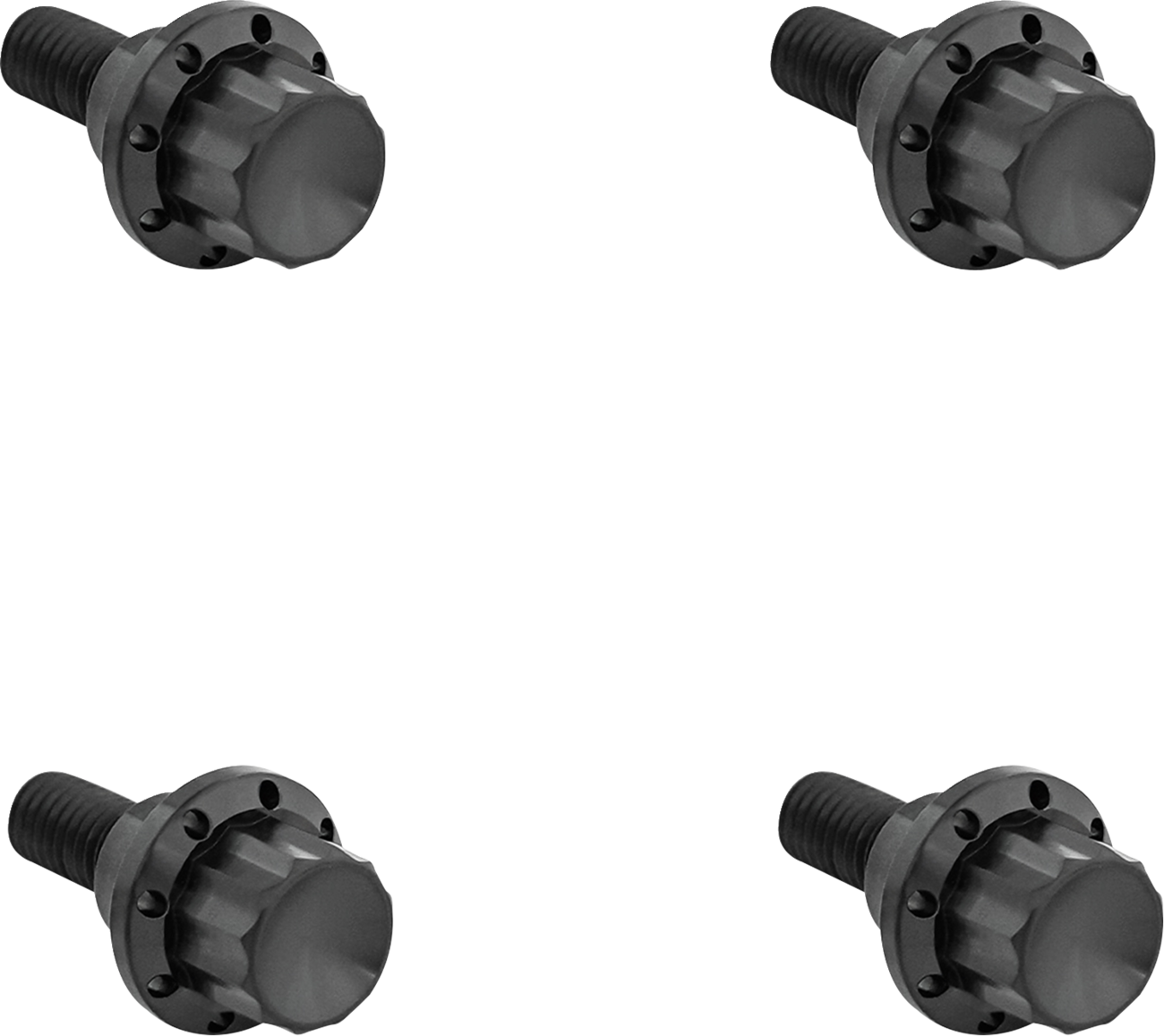 ARLEN NESS Bolt Kit - Windshield / 12-Point / Titanium / Black 2401-1782