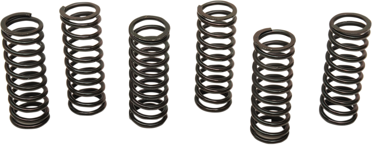 BARNETT Clutch Spring Set - Honda/Suzuki MT-85-6
