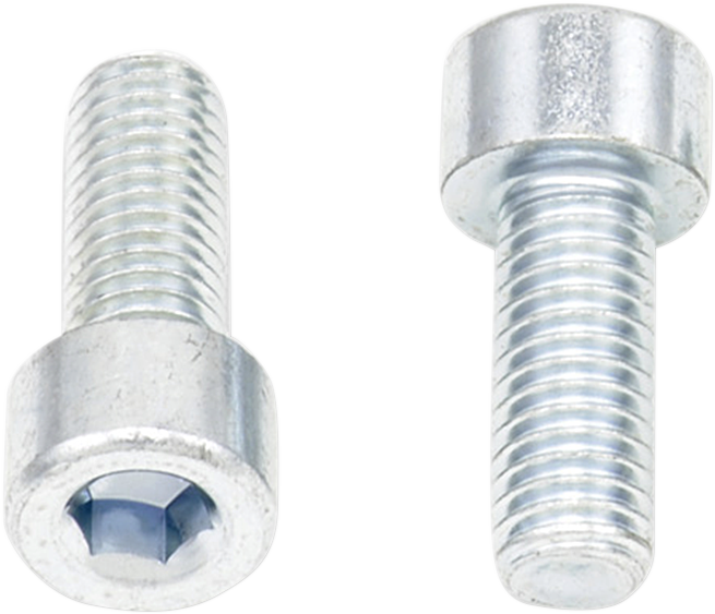 BOLT Allen Bolts - Socket-Head / M8 x 20 / 10-Pack 2404-0399